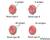Blood types_tiny